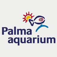 palma aquarium
