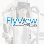 flyview